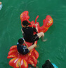 INTEX兒童水上充氣坐騎成人游泳圈玩具沖浪浮排座圈充氣浮床 龍蝦 曬單實拍圖