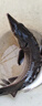 御瀘鮮湘現(xiàn)殺現(xiàn)發(fā)鱘魚(yú)鮮活新鮮整條海鮮活體軟骨無(wú)刺食用火鍋食材高檔送禮 4斤一條現(xiàn)殺現(xiàn)發(fā) 曬單實(shí)拍圖