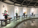 Royal sasa皇家莎莎復(fù)古氣質(zhì)甜美布藝蝴蝶結(jié)鯊魚夾時(shí)尚閃耀氣質(zhì)盤發(fā)大號(hào)抓夾 曬單實(shí)拍圖