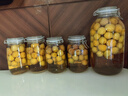 喜碧（Scybe）泡酒容器 密封罐10斤裝泡酒專用瓶泡菜壇子泡酒瓶腌菜瓶潘多拉5L 曬單實(shí)拍圖