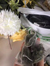 早元薄荷綠茶薄荷葉花茶包獨(dú)立包裝袋泡茶冷泡茶考研上課犯困泡水喝的 冰涼舒爽*[50包]薄荷綠茶 曬單實(shí)拍圖