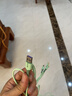 TLXT德國品質(zhì)100W快充三合一數(shù)據(jù)線充電器一拖三手機(jī)充電線車載多頭適用于蘋果ipad安卓華為2米多功能 服務(wù) 曬單實拍圖