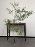 日本進口吊鐘綠植鮮切帶葉水培植物侘寂風(fēng)北歐水養(yǎng)枝條馬醉木室內(nèi) 進口吊鐘 1.3米 曬單實拍圖