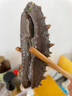 北緯39° 大連即食海參500g 11-13只  獐子島子品牌遼刺參 海鮮滋補(bǔ)送禮 曬單實(shí)拍圖