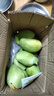海南小臺農芒果 軟糯香甜可口熱帶水果金煌青芒時(shí)令生鮮半價(jià) 4.5-5斤(130g+) 曬單實(shí)拍圖