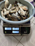 魚夢谷果香鯽餌料夏秋季高溫野釣鯽魚鯉魚草魚鳊魚果酸果香魚食拉餌搓餌 魚夢谷果香鯽一包300克 曬單實(shí)拍圖