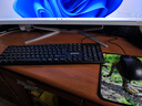 寶貝貓【免費升2K-144Hz】32英寸一體機電腦2K超清曲屏10核酷睿i5i7銳龍獨顯吃雞魔獸電競游戲臺式整機 32英寸超清2K曲屏 0》intel G4560丨256G+8G 曬單實(shí)拍圖