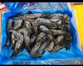 1號會員店 泰國活凍黑虎蝦 斑節(jié)對蝦 海鮮水產(chǎn) 凈重2斤（31-40只） 曬單實(shí)拍圖