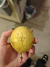 京鮮生 欽蜜9號黃金百香果 5斤單果90g+ /20-30個 生鮮水果 源頭直發(fā) 曬單實拍圖