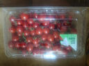 【農(nóng)戶直通車】釜山88枸杞小番茄1kg 曬單實拍圖