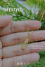 紀(jì)凡思有你