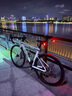 喜德盛公路自行車(chē)2025款A(yù)D300油碟UCI車(chē)架2x10速中空一體牙盤(pán)桶軸破風(fēng)車(chē) 白蛇 510mm 曬單實(shí)拍圖