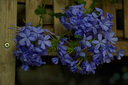 騰龍（Tamron）B070 17-70mm F/2.8 VC防抖大光圈微單鏡頭17-70風(fēng)光人像旅行半畫幅1770 索尼E卡口 套餐一【送UV禮包+艾博森D12攝影單肩包】 曬單實拍圖