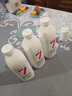 卡士007酸奶可選原味七種益生菌低溫冷藏家庭裝年貨 1KG*1桶 曬單實拍圖