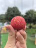 CP正大  白羽雞生鮮雞爪 冷凍 凈重4斤 鹵雞爪檸檬雞爪食材 曬單實(shí)拍圖
