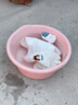 創(chuàng  )京懿選Z洗澡盆子家用嬰兒浴盆洗被子洗衣洗腳盆特大號加厚塑料臉盆兒童 43CM大號粉色0-8月嬰兒洗澡 曬單實(shí)拍圖