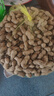新鮮花生濕花生粉皮生花生沙地花生現(xiàn)挖現(xiàn)發(fā)農(nóng)家【手工精挑細(xì)選】 現(xiàn)挖濕花生 5斤 曬單實(shí)拍圖