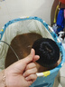 免安裝折疊浴缸家用大人泡澡桶成人洗澡桶浴缸兒童折疊浴桶澡盆 一鍵折疊免安裝浴缸海洋世界 曬單實拍圖