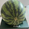 曉吸無籽麒麟瓜 4kg 曬單實拍圖