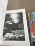 海豚之歌 沈石溪生命史詩三部曲 動物小說大王沈石溪品藏書系列 兒童文學小學生課外閱讀書籍   曬單實拍圖