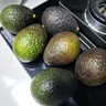 都樂(lè )Dole 進(jìn)口牛油果 新鮮水果 鱷梨 8粒裝中果甄選110g 曬單實(shí)拍圖