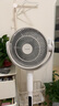 東芝（TOSHIBA）【花信風(fēng)SE】電風(fēng)扇空氣循環(huán)扇0耗材除醛直流變頻電風(fēng)扇靜音臥室超靜音一級能效F-DSC650CN(W) 曬單實拍圖