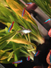 百因美（BIOZYM）魚缸過濾器循環(huán)水泵小型壁掛水族箱外置過濾水草缸外掛設(shè)備除油膜 2.2W【適合20-30CM魚缸】 曬單實(shí)拍圖