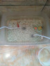 貝初眾增氧泵魚缸氧氣泵戶外釣魚小型充電式氧氣泵機(jī)家用養(yǎng)魚缸靜音打氧 強(qiáng)防水強(qiáng)靜音 雙孔+雙氣石【78小時(shí)長續(xù)航】 交直流氧氣泵【自帶掛鉤設(shè)計(jì)】 全套增氧 曬單實(shí)拍圖