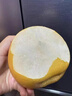 正宗秋月梨萊陽梨子新鮮水果當(dāng)季禮盒黃花大酥雪梨整箱中秋送禮 9斤 【熱賣裝】高性價(jià)比，吃貨專享 曬單實(shí)拍圖