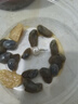 溫州特產(chǎn)蒜香醉泥螺 生腌黃泥螺鮮活無(wú)沙腌制新鮮500克即食 罐裝 蒜香泥螺500克/瓶 1瓶裝 曬單實(shí)拍圖