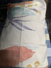 潔麗雅（grace）全棉枕套48x74cm100純棉一對裝雙人家用枕巾枕芯套宿舍單人枕頭套 清雅【全棉枕套100%全棉】 48×74cm【一對裝】 曬單實拍圖