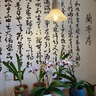小通【海渤海蜇皮】 5斤/2斤海蜇皮海蜇頭非即食海鮮干貨特產(chǎn) 水皮（5斤）凈重 曬單實(shí)拍圖