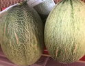京鮮生 西州蜜哈密瓜 1-2粒裝 凈重4.5-5.5斤 源頭直發(fā) 包郵  曬單實拍圖