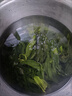 福建霞浦特產(chǎn)海帶苗鮮嫩海帶芽苗鹽漬海帶嫩苗火鍋食材專用 海帶苗500g*1袋 曬單實(shí)拍圖