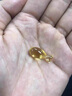 MAG【IFOS認(rèn)證】深海狗狗魚(yú)油膠囊 卵磷脂寵物美毛有助改善掉毛100粒 曬單實(shí)拍圖