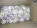 千封河南2025新蒜新干蒜多瓣蒜大蒜頭紫皮大蒜批發(fā) 大蒜特大果 9斤 曬單實拍圖