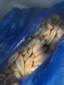 云儲生活格陵蘭頭籽北極甜蝦100/135規(guī)格凈重4斤北極熊刺身大號冰蝦元寶蝦 曬單實拍圖