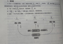 學(xué)習英語(yǔ)從無(wú)助到入門(mén) 自學(xué)零基礎語(yǔ)法指南贈習題集線(xiàn)下課程手稿 不需要咨詢(xún)老師就能從頭看到尾 寫(xiě)給不放棄學(xué)習英語(yǔ)的人 價(jià)值8000元線(xiàn)下課的逐字稿 雙份習題集（親子陪伴教學(xué)用）+一套 曬單實(shí)拍圖