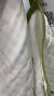 棉加加（Cotton++）兒童嬰兒毛巾洗臉長方巾純棉100%紗布洗澡寶寶洗漱口水巾防吐奶墊 50*25童巾【超柔6層 升級包邊】 隨機2條裝 曬單實拍圖