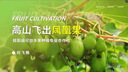 ppt代制作代做ppt制作高端ppt專業(yè)定制ppt修改美化設(shè)計(jì)工作匯報(bào)ppt課件PPT排版比賽幻燈片 曬單實(shí)拍圖