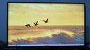 ROG絕神 OLED 【國家補貼】XG27ACDMS 26.5英寸 OLED電腦顯示器2K 280Hz顯示屏0.03ms響應 HDR400 OLED''2K/280Hz/原生10bit 曬單實拍圖