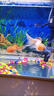 亞甲基藍(lán)魚藥水族箱魚缸消毒殺菌觀賞魚錦鯉白點(diǎn)爛身爛尾專用魚藥 500ml/瓶【4瓶】送量杯 曬單實(shí)拍圖