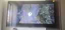 海信電視75E3Q 75英寸 144Hz高刷 U+超畫質(zhì)引擎  AI語音 智能天線Wi-Fi6  4k液晶平板國家補(bǔ)貼以舊換新 曬單實(shí)拍圖