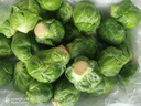 良知農(nóng)哥【順豐】新鮮孢子甘藍(lán) 西餐沙拉蔬菜食材迷你小寶菜小卷心菜輕食 3斤 曬單實(shí)拍圖