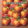 現(xiàn)摘現(xiàn)發(fā)當(dāng)季云南昭通野生冰糖心丑蘋果脆甜水果新鮮大涼山10斤 5斤精品中果70mm-75mm 曬單實(shí)拍圖