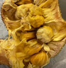 橙尚宮【現貨】海南榴蓮蜜應當季熱帶新鮮水果手撕菠蘿蜜軟糯香甜濕苞 凈重2-3斤【1個(gè)裝】嘗鮮體驗 曬單實(shí)拍圖