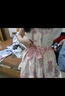 閃動少女（SHANDONGSHAONV）洛麗塔Lolita可愛少女日常甜美裙減齡襯衣蝴蝶結(jié)蕾絲背帶裙兩件套 襯衣+背帶裙【送蝴蝶結(jié)】 S 曬單實(shí)拍圖
