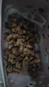 產(chǎn)地直發(fā)云南小黃姜新鮮生姜黃姜調(diào)味料新鮮蔬菜生鮮 3斤 裝 曬單實(shí)拍圖