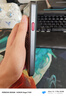 中興（ZTE）U60Pro全球版 5G免插卡隨身移動(dòng)wifi無(wú)線網(wǎng)卡wifi7便攜式熱點(diǎn)出國(guó)上網(wǎng)通用流量2025款 曬單實(shí)拍圖