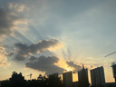 紐強(qiáng)兒童面霜青少年夏季補(bǔ)水保濕身體乳 嬰幼兒保濕潤膚精華乳200g 曬單實(shí)拍圖
